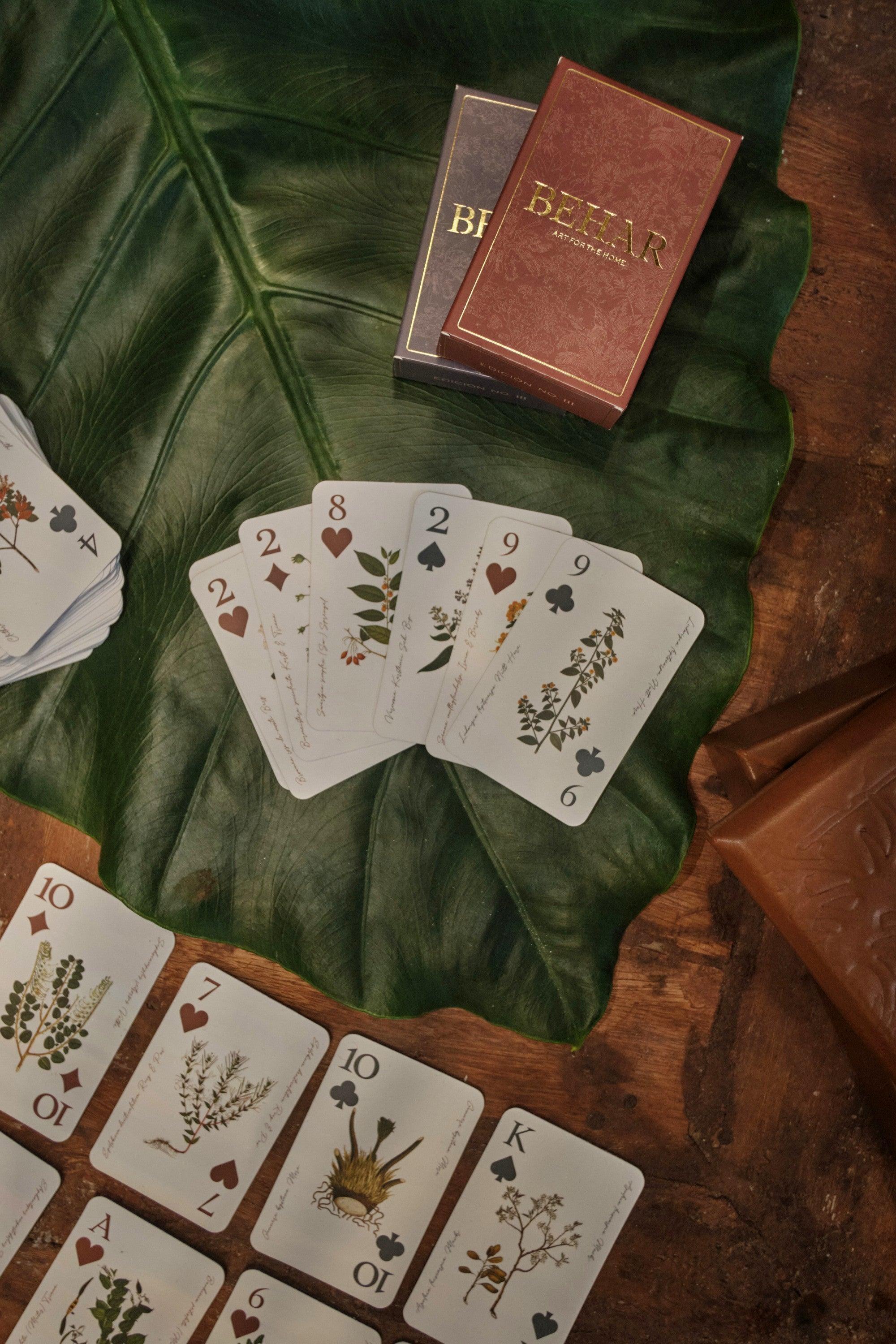 CARTAS. - BEHAR