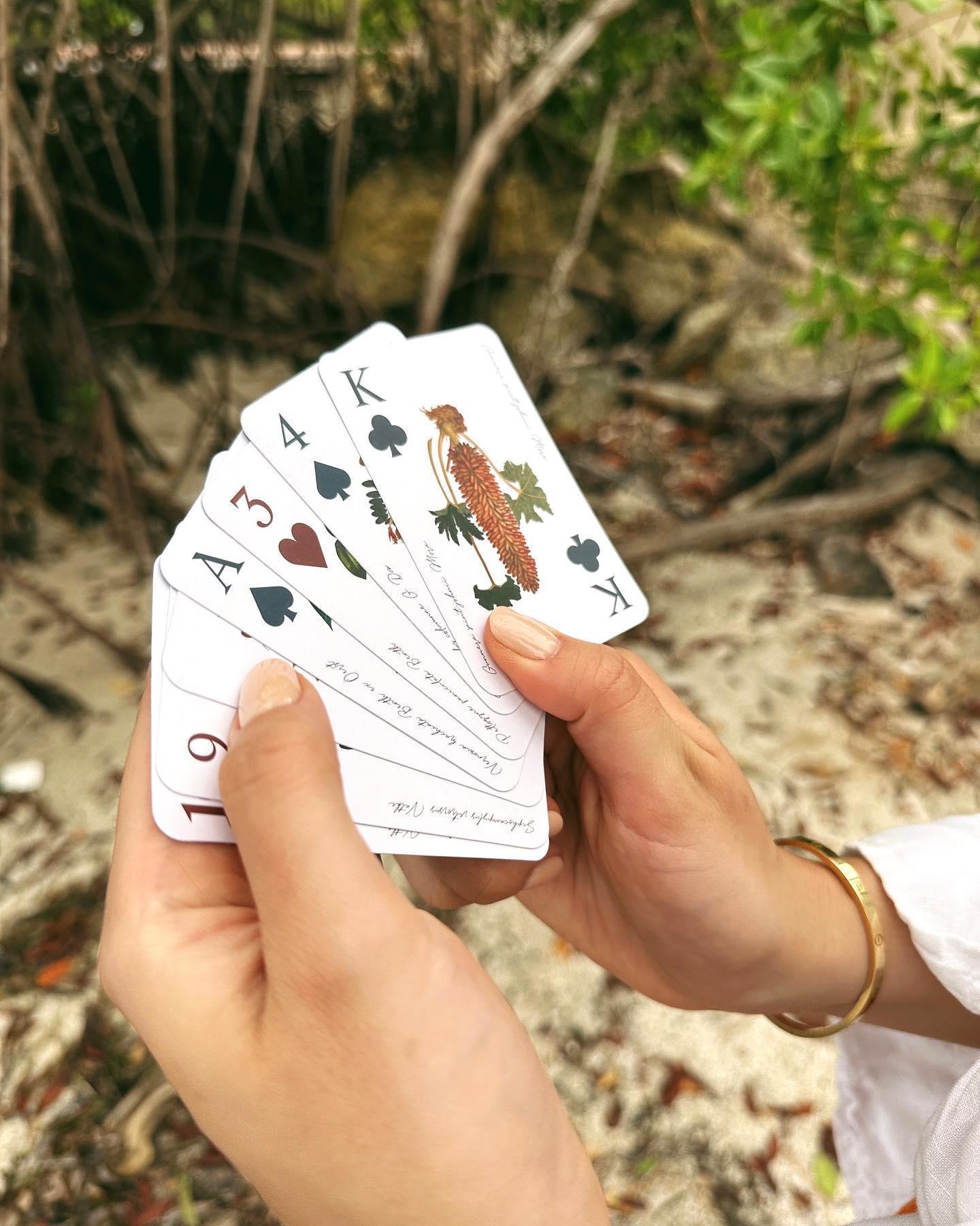 CARTAS. - BEHAR