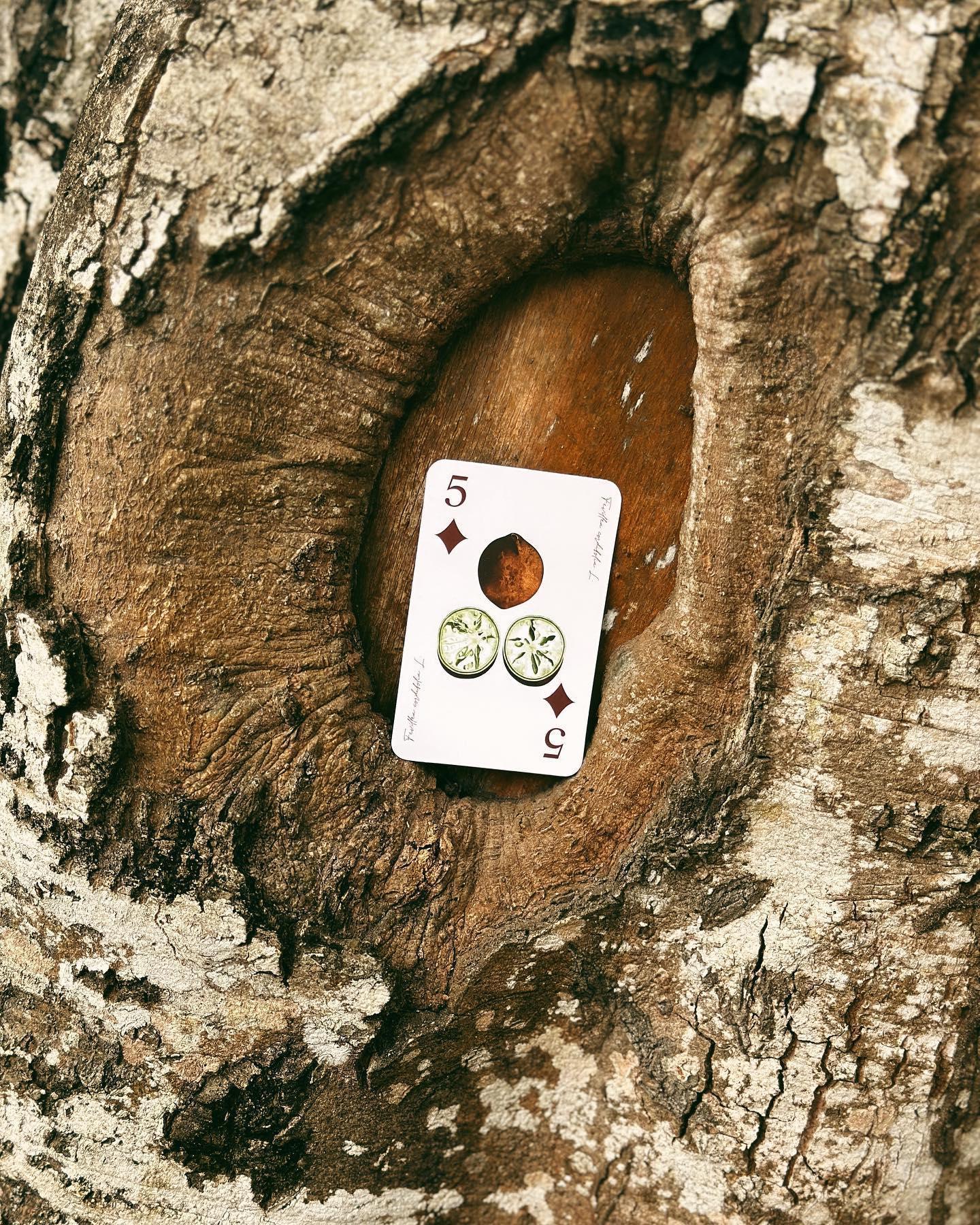 CARTAS. - BEHAR
