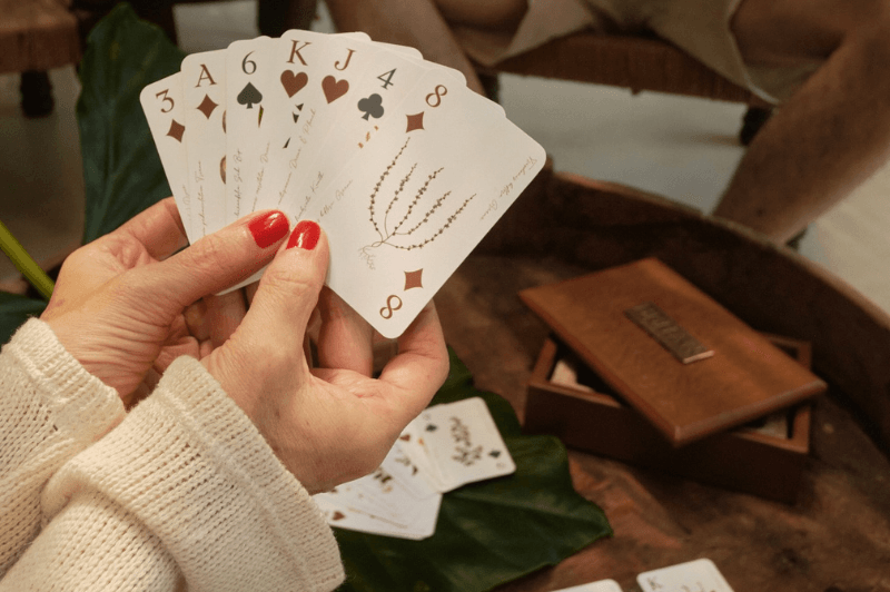 Tonto Cotudo, un juego para disfrutar con toda la familia (apto para niños) - BEHAR